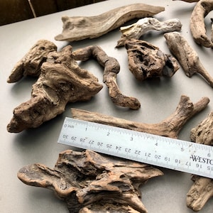 May include: A collection of driftwood pieces in various shapes and sizes. The driftwood is a light brown color and has a natural, weathered look. A ruler is included for scale.