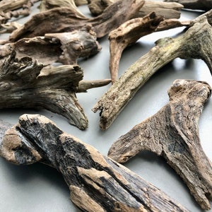 May include: A collection of driftwood pieces in various shapes and sizes. The driftwood is a light brown color with some darker brown and gray areas. The driftwood is smooth and weathered.