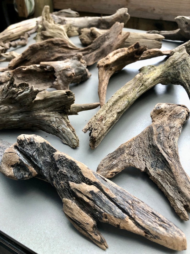 May include: A collection of driftwood pieces in various shapes and sizes. The driftwood is a light brown color with some darker brown and gray areas. The driftwood is smooth and weathered.