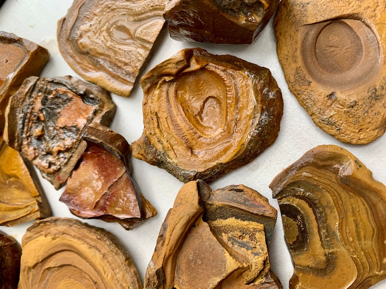 May include: A collection of brown and tan fossilized stones with a layered, striated pattern. The stones are irregularly shaped and have a smooth, polished surface.