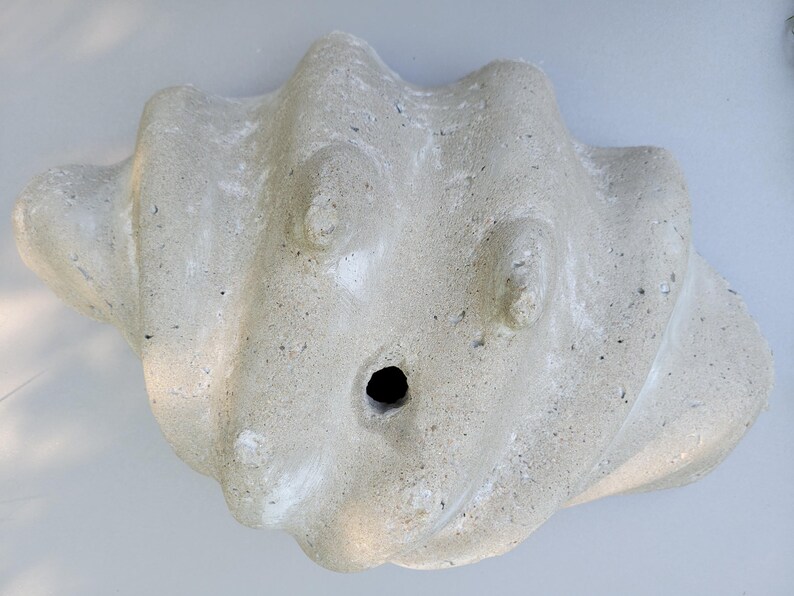 Concrete Seashell Planter - Thumbnail 5