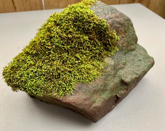 Mossy Rock 7” Natural Terrarium Decor