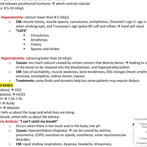 Nursing School Pathophysiology Study Guide - Etsy