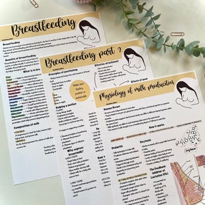 Digital download breastfeeding posters, midwifery posters, student midwife, anatomy posters
