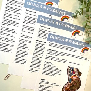 Descarga digital de carteles de embarazo, carteles de partería, carteles de estudiantes, anatomía