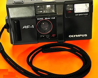 il_340x270.6872146559_bfdl.jpg