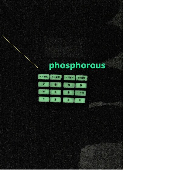 Casio Dbc-150 Data Bank 150  Phosphorous Keyboard… - image 7