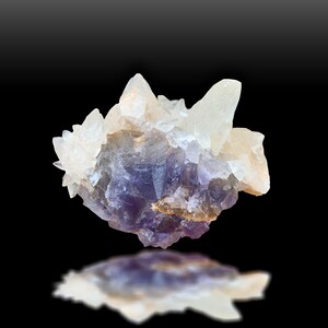 May include: A cluster of purple fluorite crystals with white calcite crystals. The fluorite crystals are a deep purple color and have a glassy luster. The calcite crystals are white and have a pearly luster.