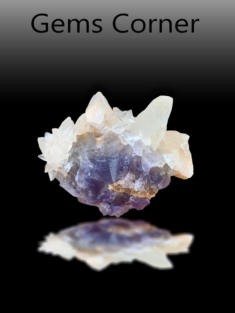 May include: A cluster of purple fluorite crystals with white calcite crystals. The fluorite crystals are a deep purple color and have a glassy luster. The calcite crystals are white and have a pearly luster.
