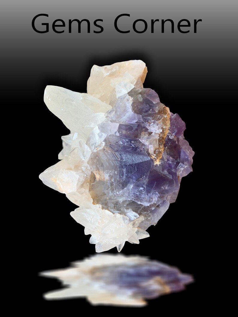 May include: A purple and white fluorite crystal cluster with a natural, rough texture. The crystal is on a black background and has a reflection below it.