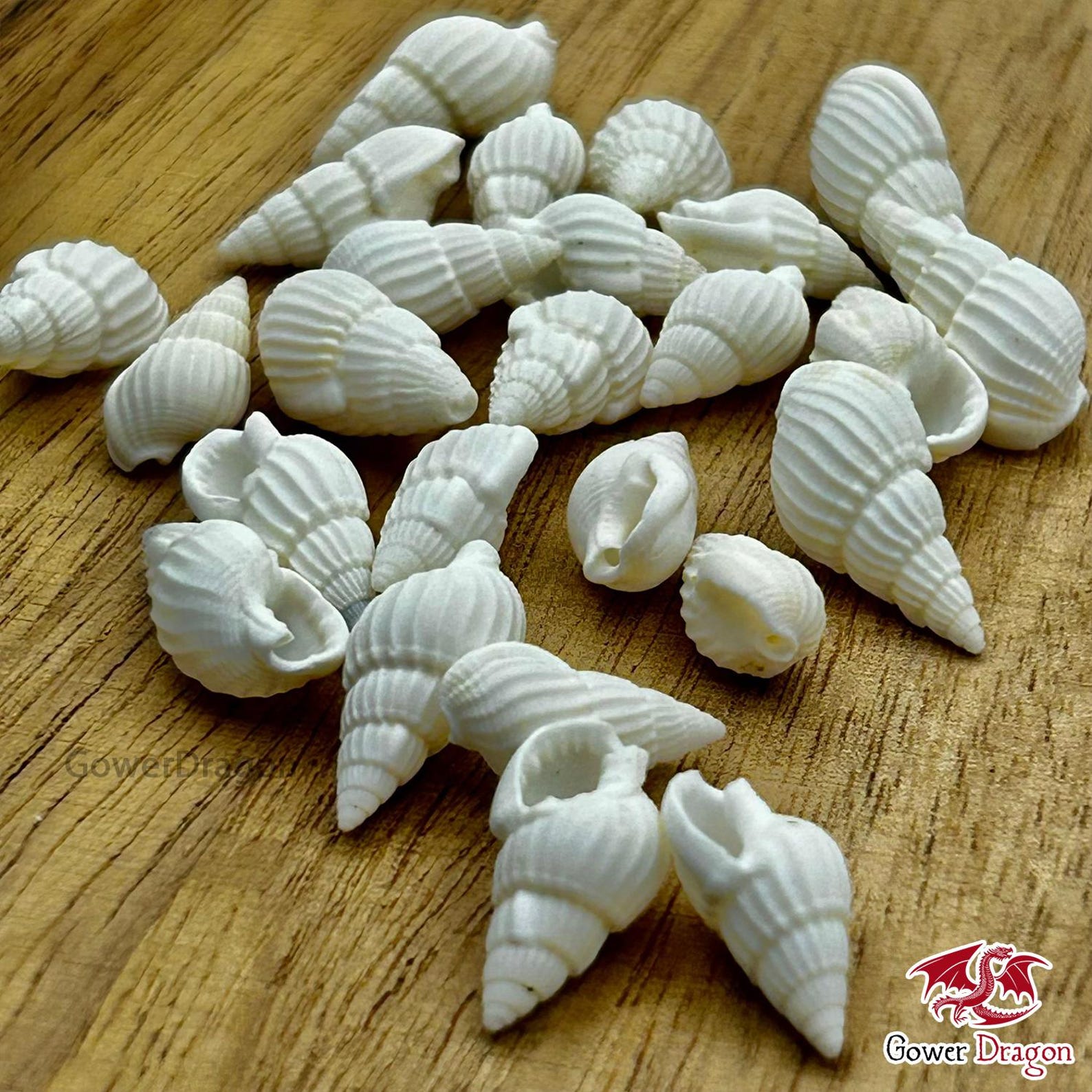 White Candyshell 25/50 Perfectly White Seashells – Tiny Natural Welsh Shells for Crafts ...