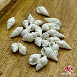 25/50 Perfectly White Seashells – Tiny Natural Welsh Shells for Crafts & Weddings (7–15mm)