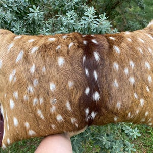 May include: Rectangular decorative pillow with a spotted pattern in shades of brown and white, resembling deer fur. The pillow has dark brown leather ends with a woven design, adding a rustic touch. The pillow is held in front of a green leafy background.