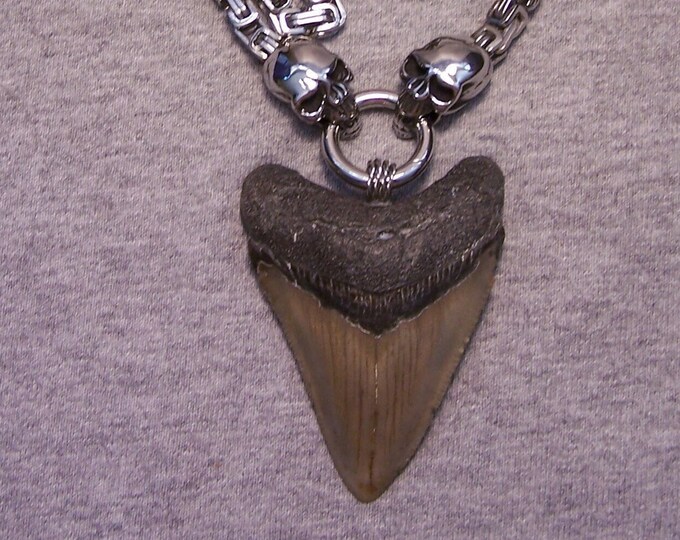 MEGALODON Shark Tooth Real Sharks Teeth Necklace Fossil 2 15/16
