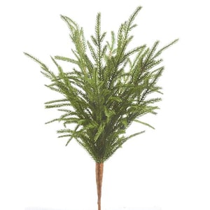 18&quot; Soft Touch Norfolk Pine Pick