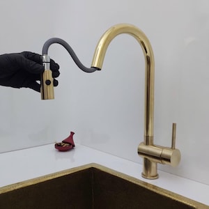May include: A gold-colored kitchen faucet with a pull-down sprayer. The faucet has a curved spout and a single lever handle. The sprayer is held by a gloved hand. A small red container sits on the counter.