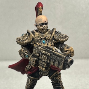 Painted Miniature/Royal Guard/Golden Space Sister