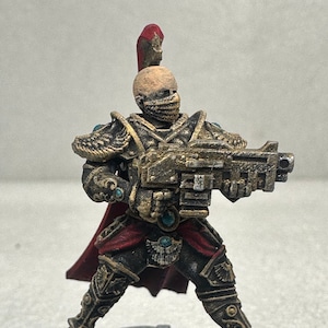 Painted Miniature/Royal Guard/Golden Space Sister