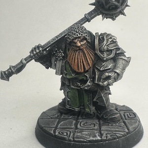 Miniatura dipinta/Nano combattente/D&D/Pathfinder/preverniciata