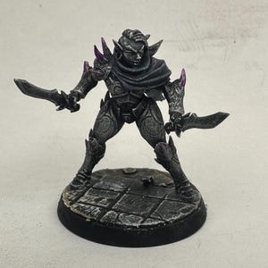 Painted miniature/Artisan Guild/Dark Elf/Assassin/Fighter/Pathfinder