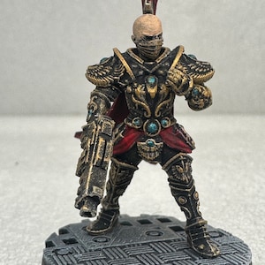 Painted Miniature/Royal Guard/Golden Space Sister