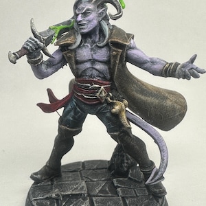 Tiefling Rogue Fighter/Mezzalfiend/Painted miniature/Artisan Guild/D&D/Pathfinder/