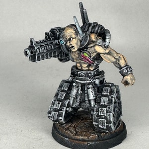 Painted miniatures/DMG Minis/Scavenger Cyborg/Servants/