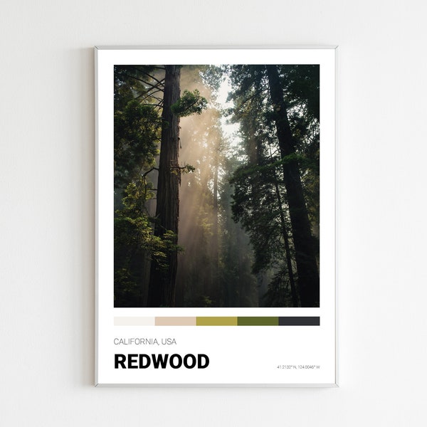 Redwood Print, National Park Poster, California Print, Tall Trees Grove, Fern Canyon, Drive-Thru Tree Park, Printable Wall Art, Hike Travel