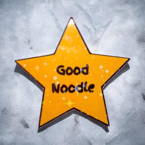 Good Noodle Gold Star Magnets | Funny Magnets, Meme Magnets, Good Noodle, Pop Culture Magnets, Novelty Magnets, TV Magnets, Cartoon Magnets