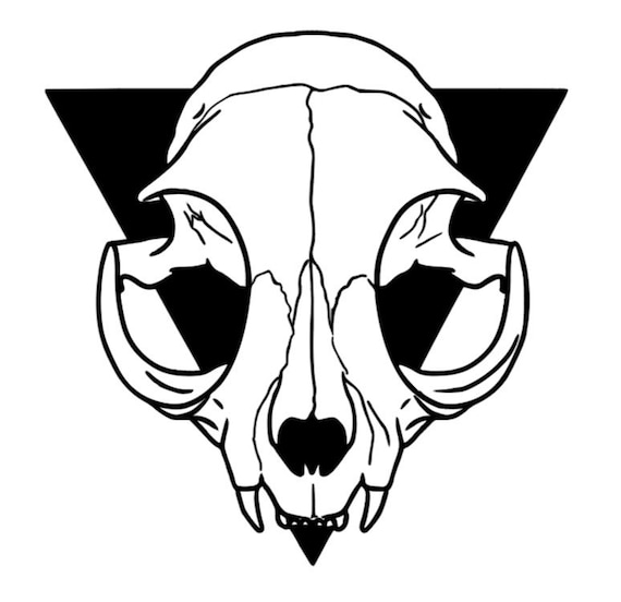 Cat skull drawing online