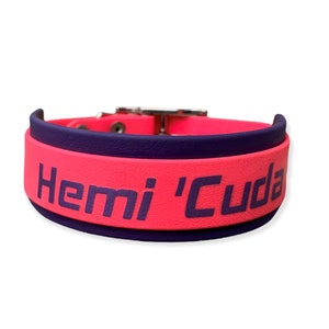 1.5" Biothane Buckle Collar