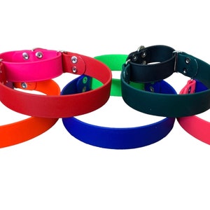 1" Biothane Martingale Collar