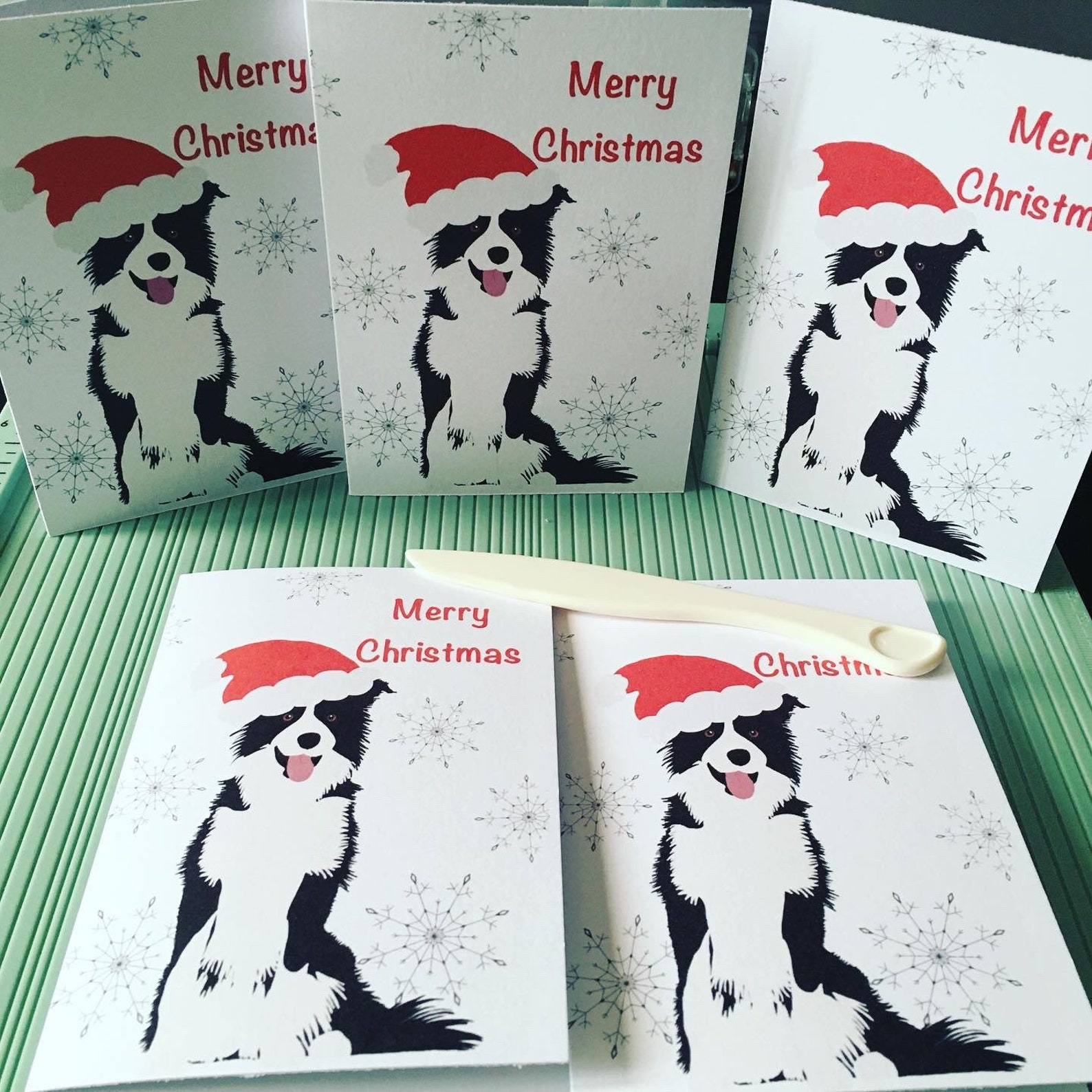Border Collie Christmas Card: Dog Greetings Card - Etsy