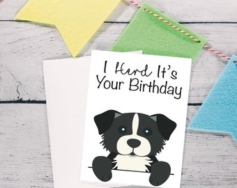 Border collie Birthday card, I herd it’s your birthday dog card, card from the dog, dog with balloons, dog walker birthday card