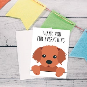 Thank you card for dog walker, dog groomer thank you card, pet sitter appreciation gift, thank you card packs, animal thank you card