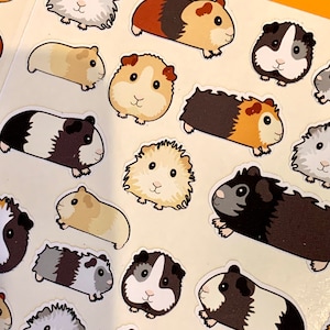May include: A sheet of colourful stickers featuring various cartoon guinea pigs in different poses and colours. The stickers are perfect for adding a touch of whimsy to notebooks, laptops, water bottles, and more.