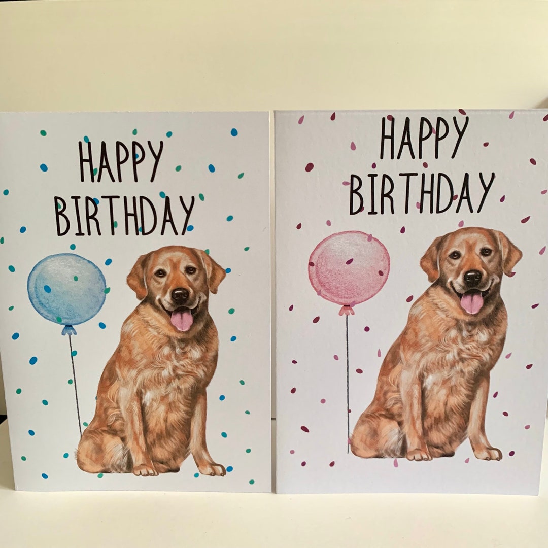 Dog Brthday Card YELLOW LABRADOR PUPPY Wth Happy Brthday Wshes - View #5