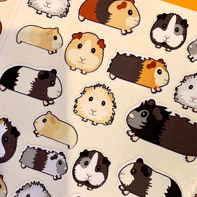 May include: A sheet of colourful stickers featuring various cartoon guinea pigs in different poses and colours. The stickers are perfect for adding a touch of whimsy to notebooks, laptops, water bottles, and more.