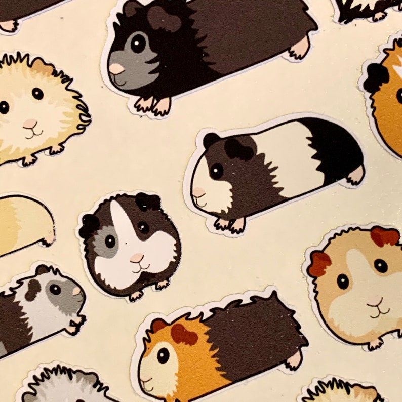 May include: A set of nine cartoon guinea pig stickers featuring different colours and patterns. The stickers are perfect for adding a touch of whimsy to laptops, water bottles, journals, and more.