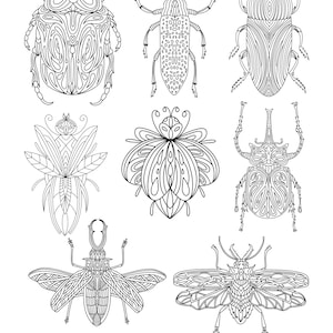 Puede incluir: Un libro para colorear con nueve ilustraciones en blanco y negro de varios insectos, incluyendo escarabajos, mariposas y polillas. El título "COLORING BOOK" está impreso en la parte inferior de la página.
