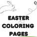 Leap Year Printable Worksheet for Kids - Etsy