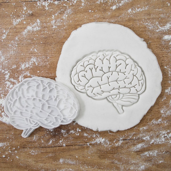 Brain cookie cutter, medical science party favours, sweets and halloween treats