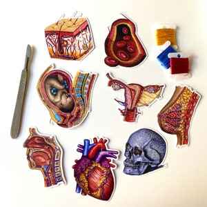 Sticker bundle: hand embroidered head, heart, skull, uterus, blood, baby, skin, breast