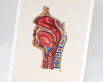 Anatomical embroidery art print: the head