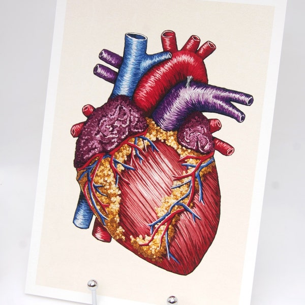 Anatomical embroidery art print (A4): the heart