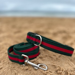 Dog leash gucci discount