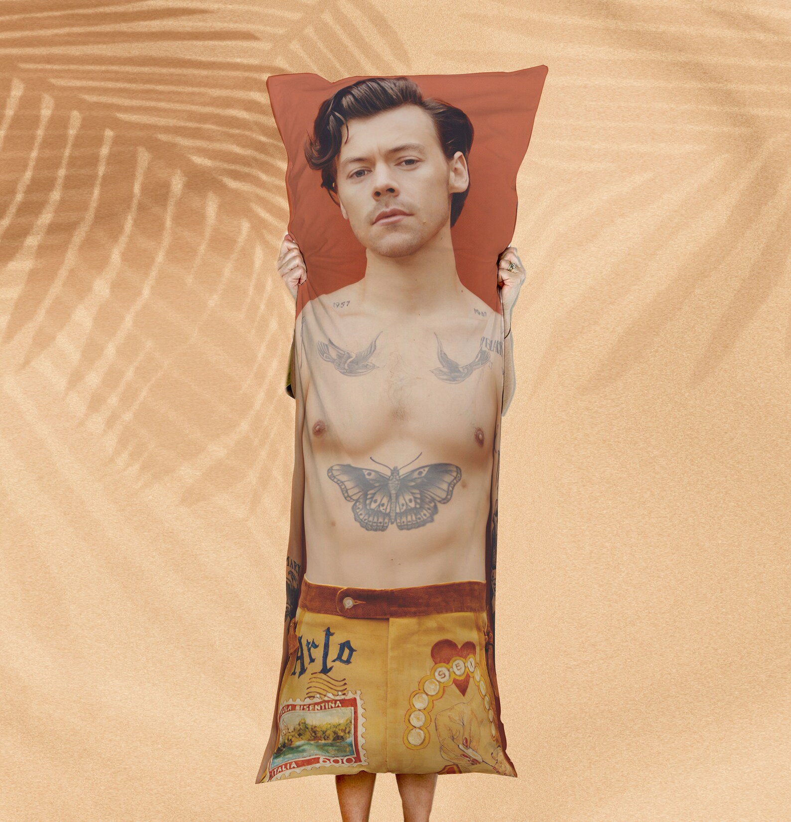 Harry Styles Body Pillow Case Body Pillow Cover With Hidden Etsy Canada
