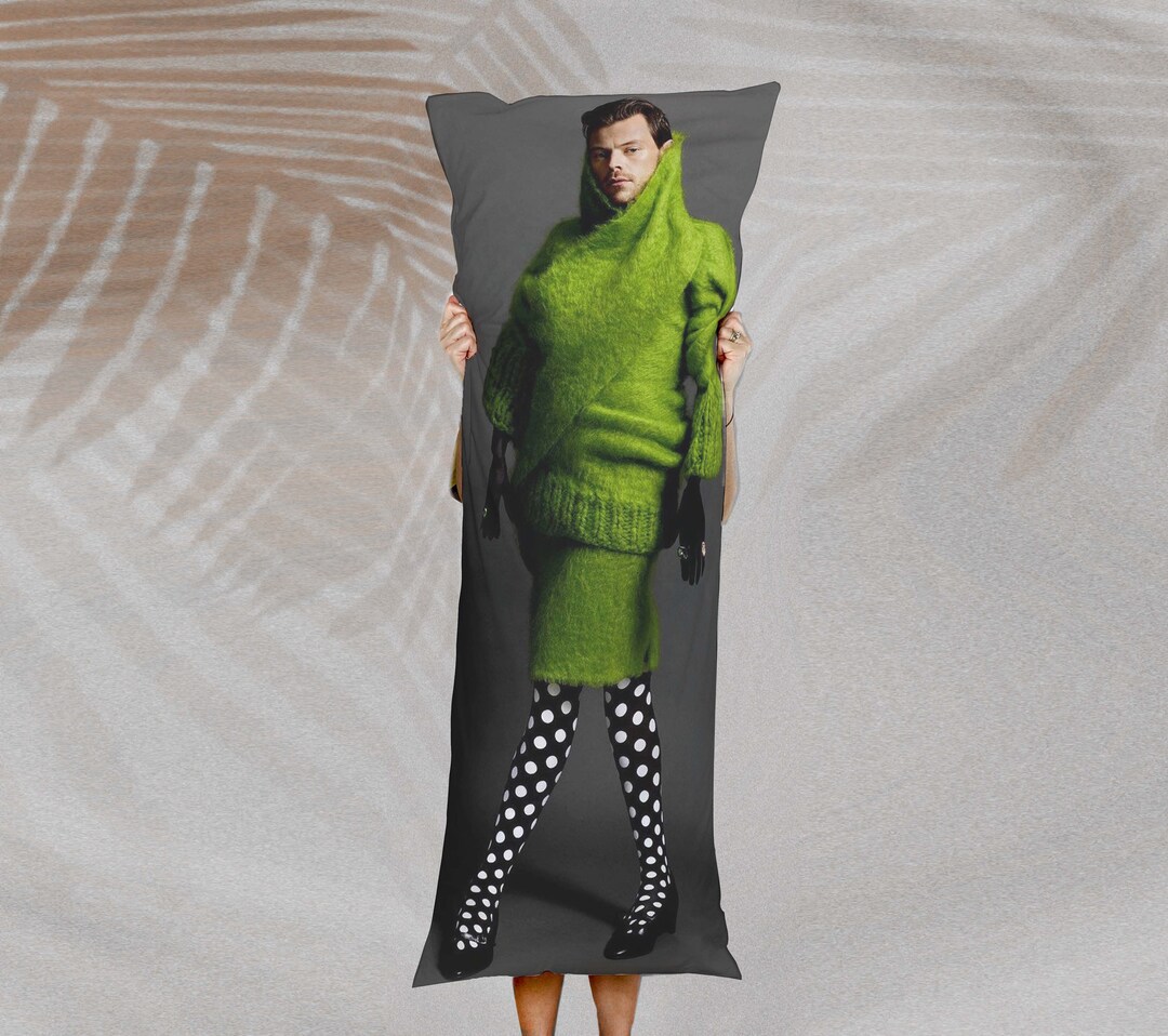 Harry Styles Body Pillow Case Body Pillow Cover With Hidden Etsy
