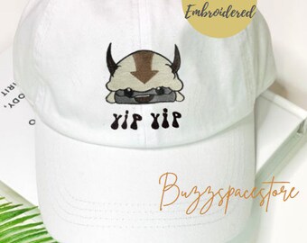 Appa Hat - Etsy