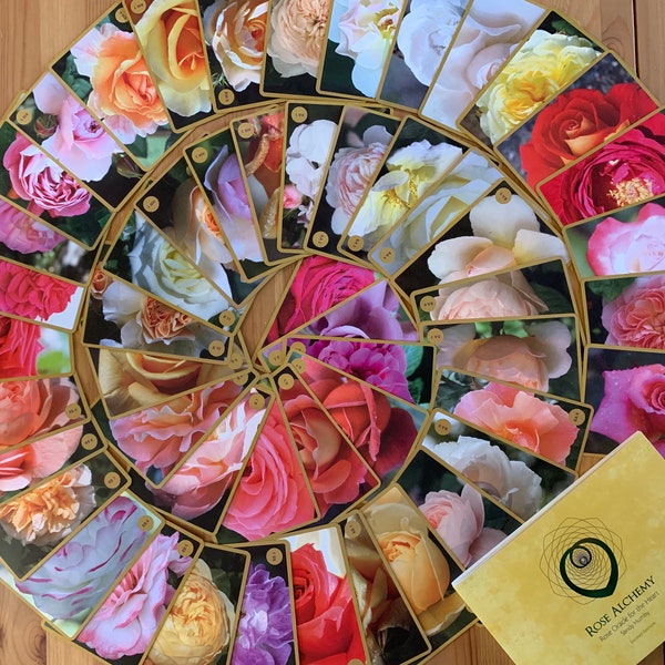 Rose Oracle Deck | Set of 52 Gold Edged Cards and Guidebook | Box of Mystical Divine Feminine Wisdom | Unique Deck for Healing & Empowerment